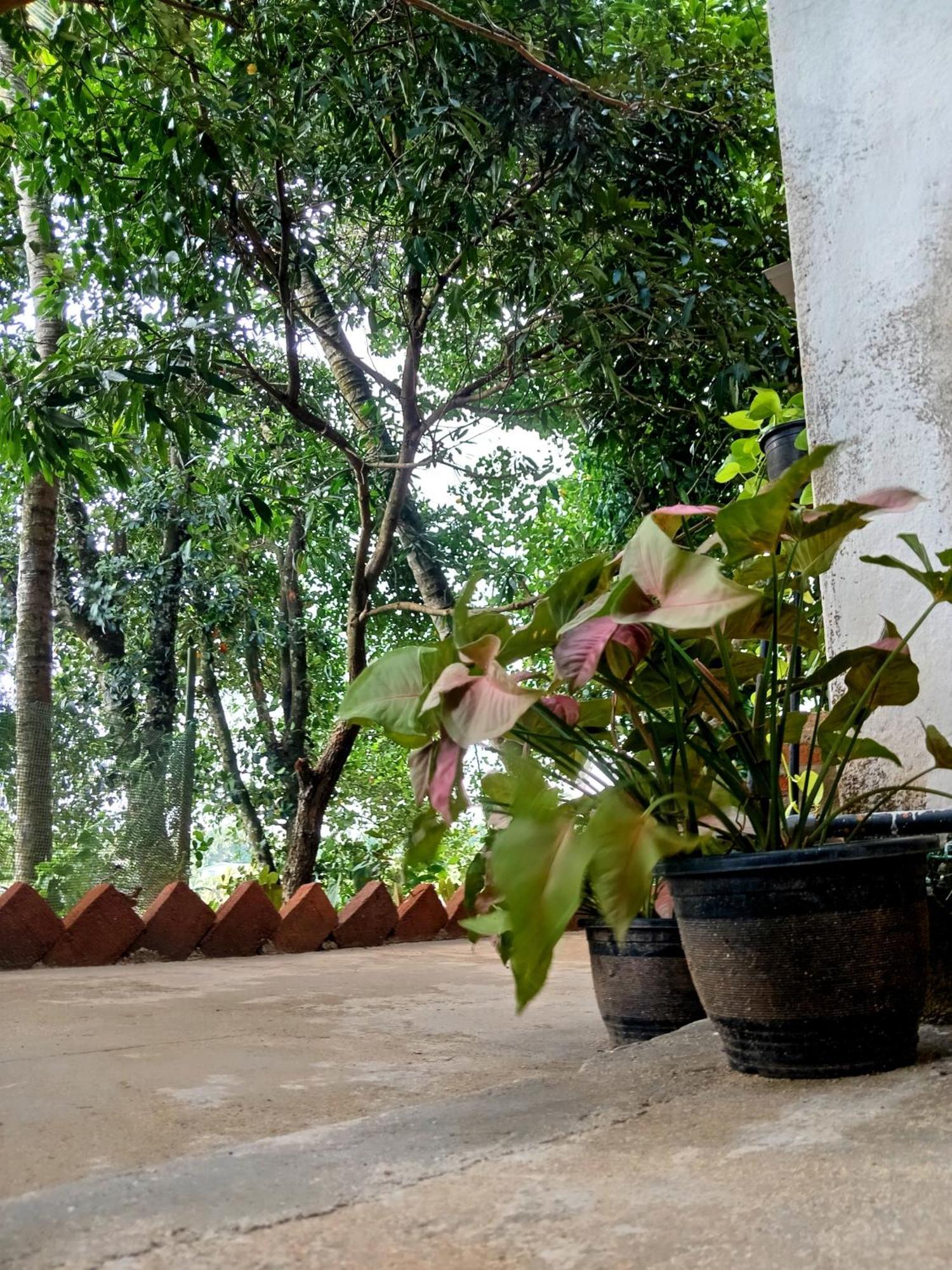 Fly Infinity - Home Stay Kandy Extérieur photo