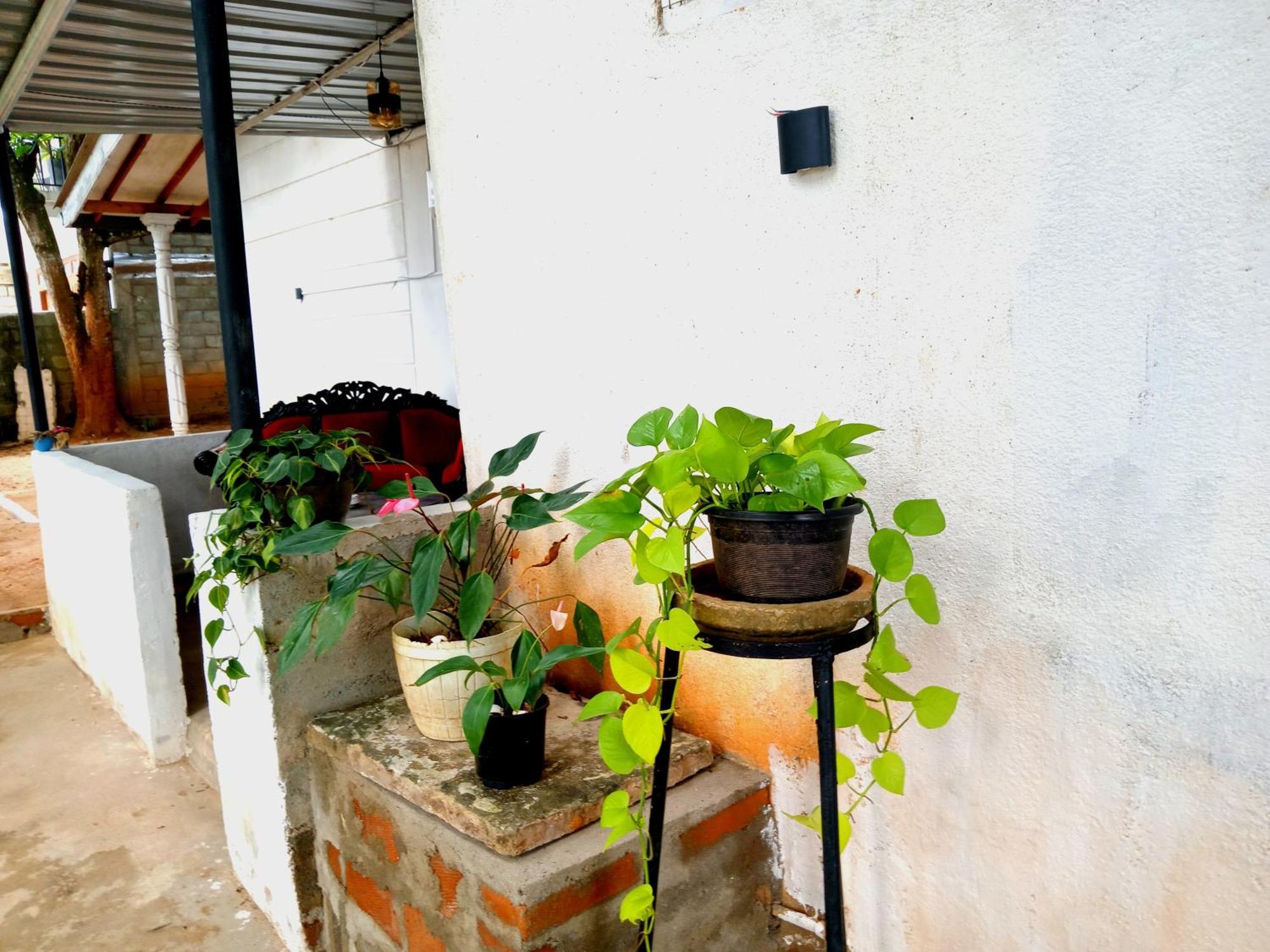 Fly Infinity - Home Stay Kandy Extérieur photo