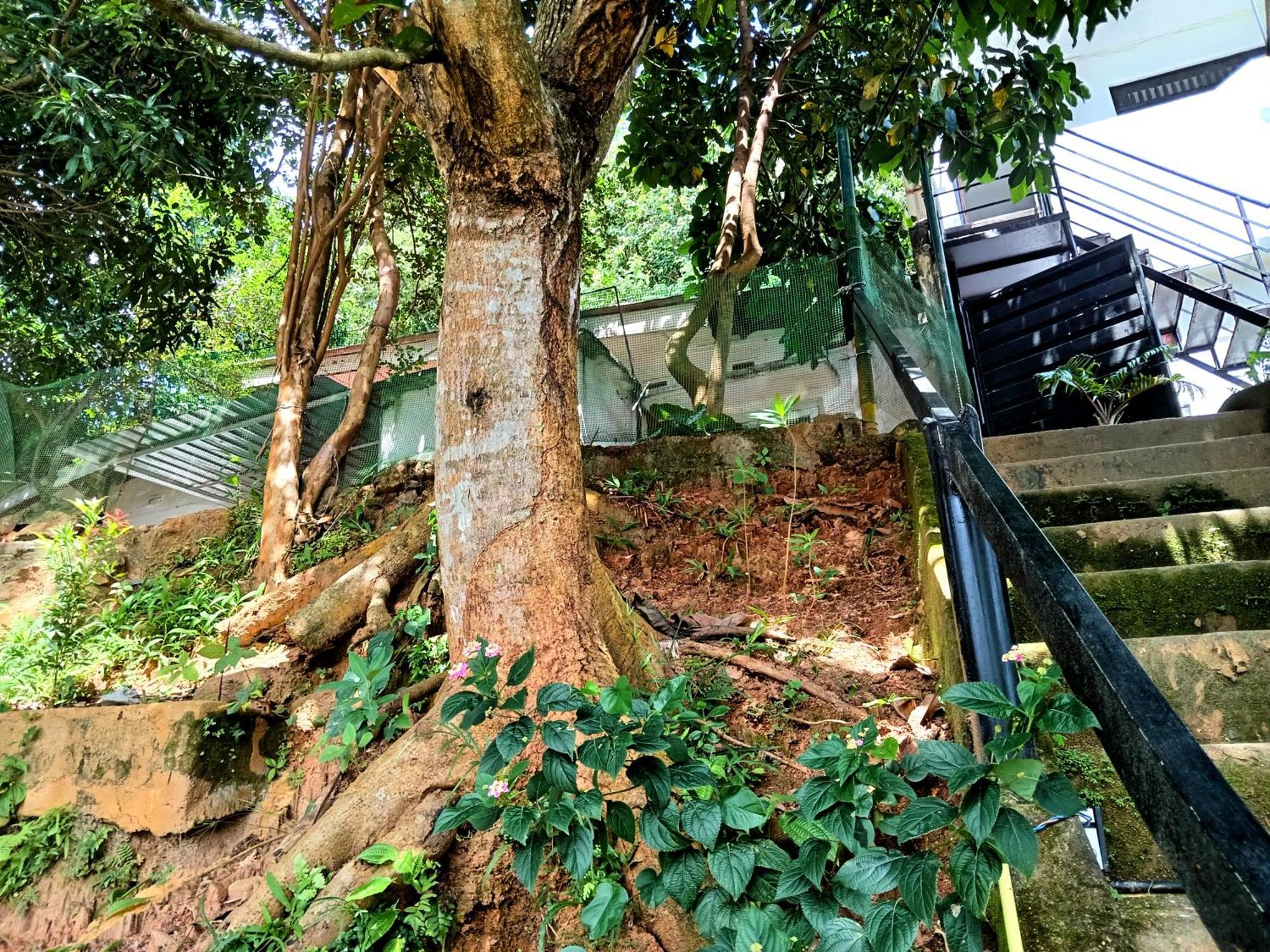 Fly Infinity - Home Stay Kandy Extérieur photo