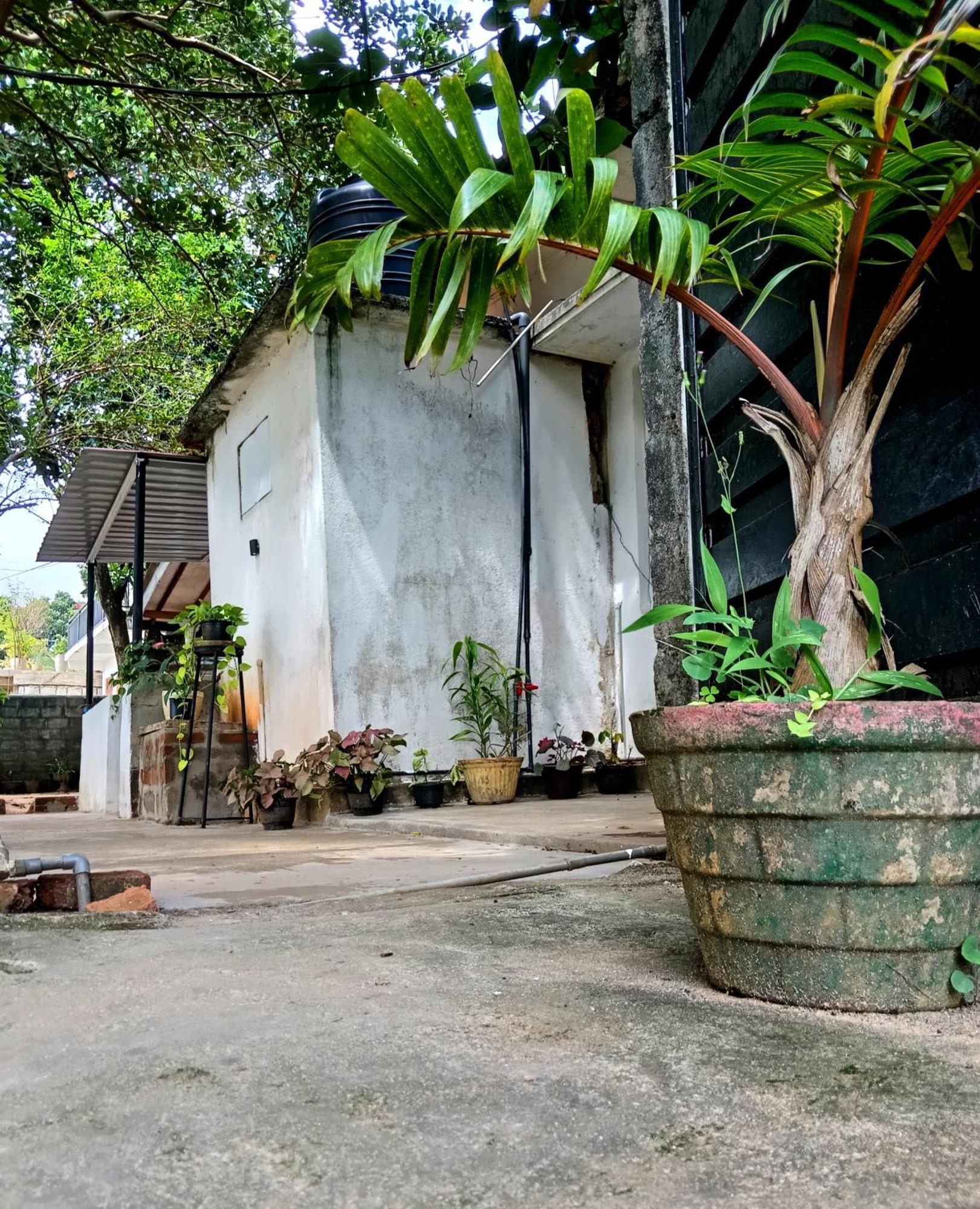 Fly Infinity - Home Stay Kandy Extérieur photo