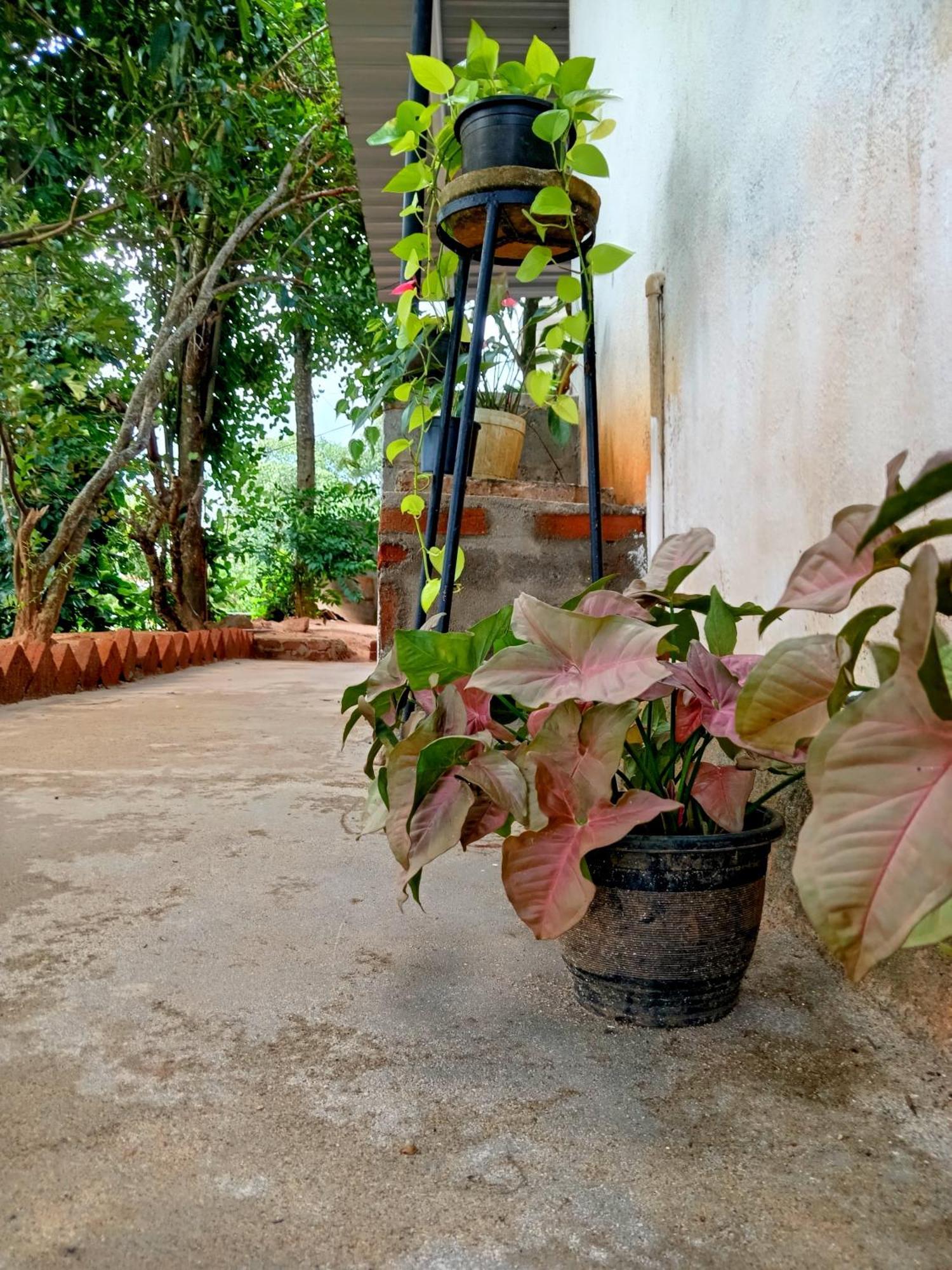 Fly Infinity - Home Stay Kandy Extérieur photo
